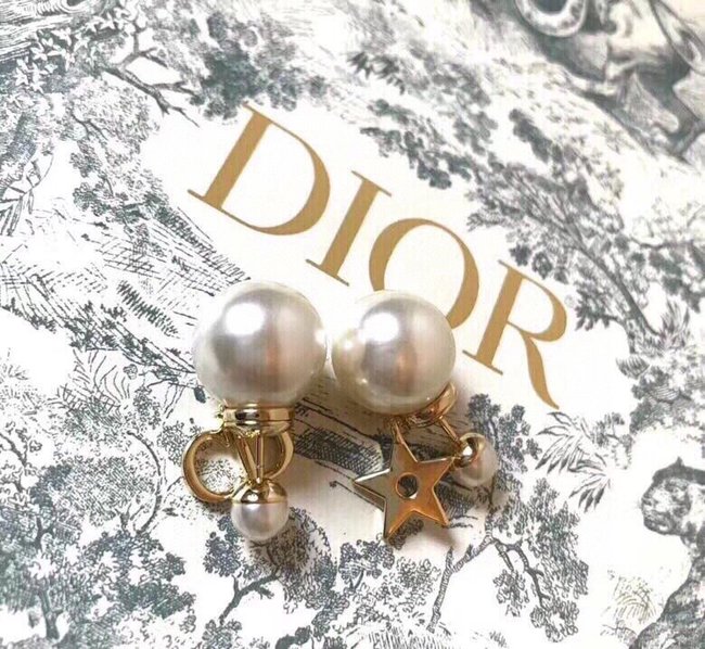 Dior Earring CSJ70548730