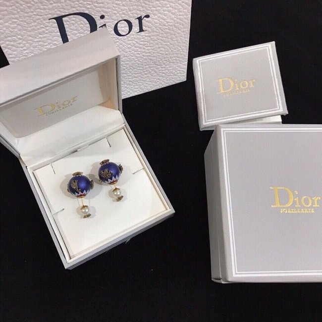 Dior Earring CSJ50520317