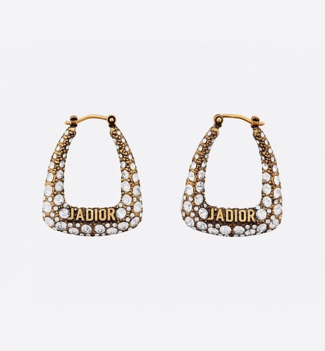 Dior Earring CSJ10534204