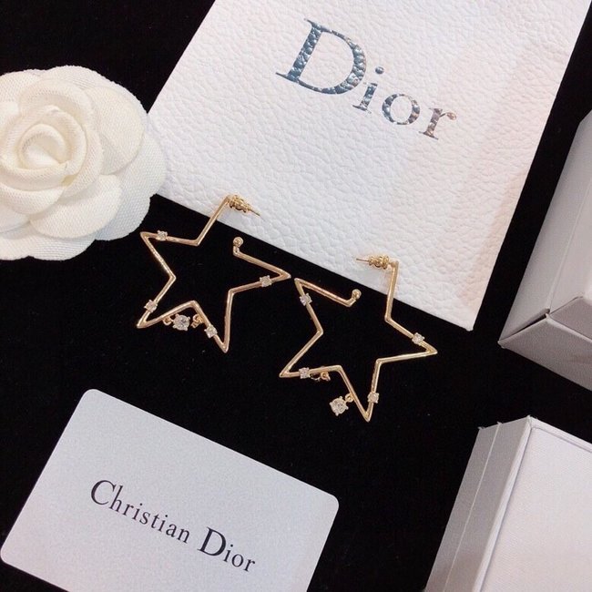 Dior Earring CSJ70586101