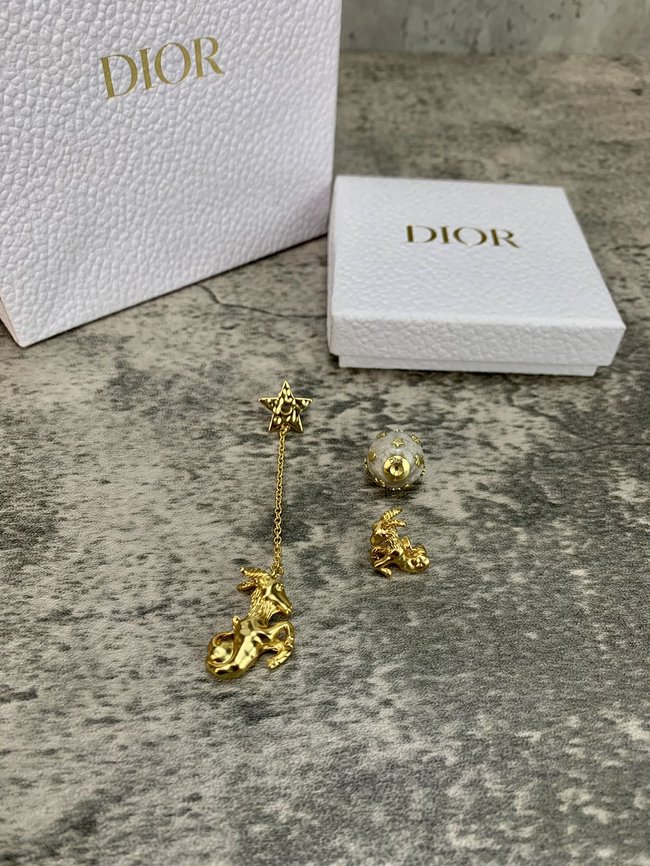 Dior Earring CSJ90535430