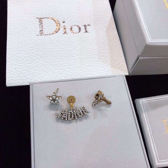 Dior Earring CSJ40575267