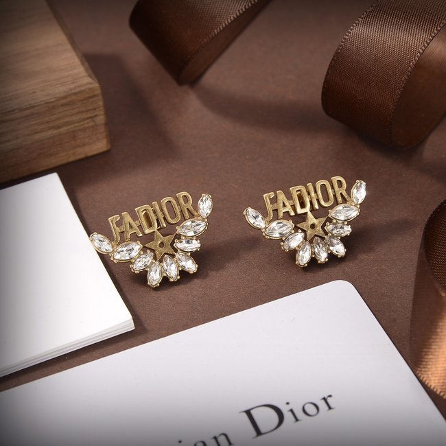 Dior Earring CSJ80588897