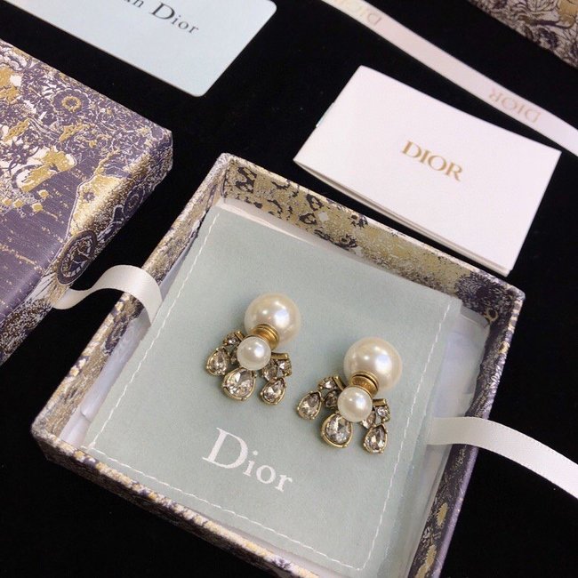 Dior Earring CSJ30586500