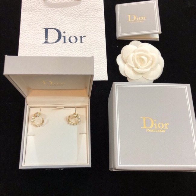 Dior Earring CSJ10590667