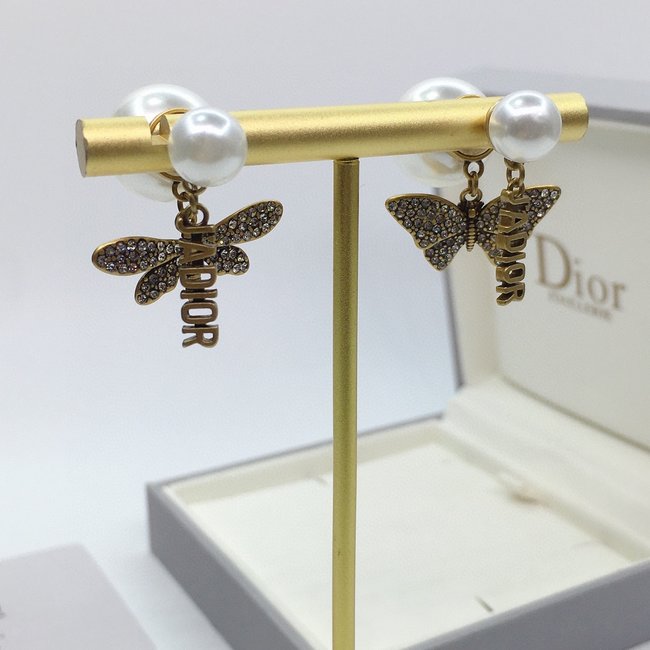 Dior Earring CSJ70570043