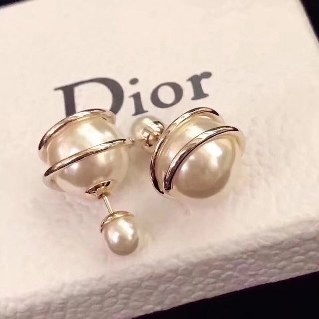 Dior Earring CSJ20001950