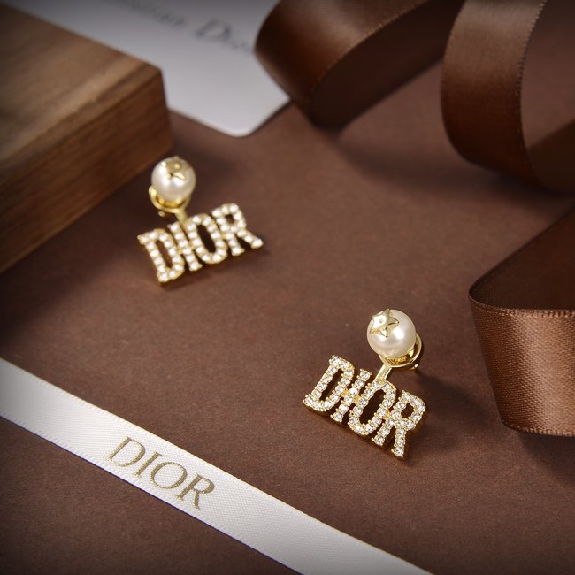 Dior Earring CSJ10001689