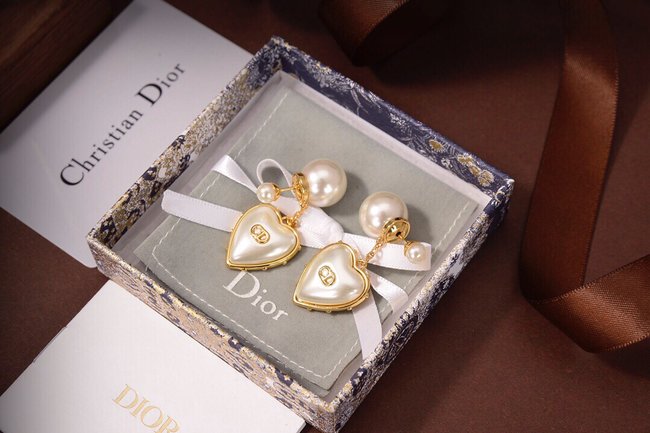 Dior Earring CSJ80001024