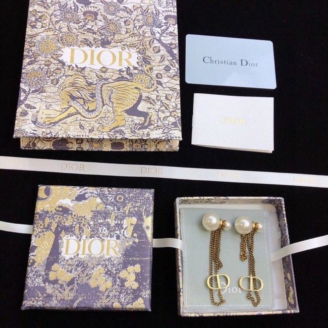 Dior Earring CSJ90001625