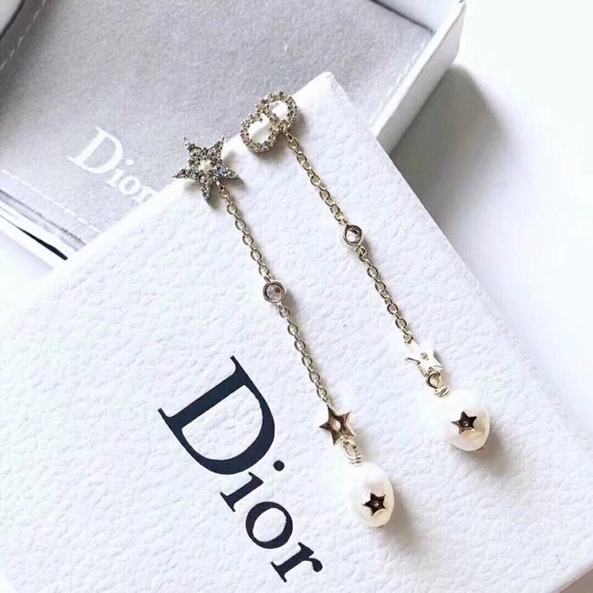 Dior Earring CSJ50001618