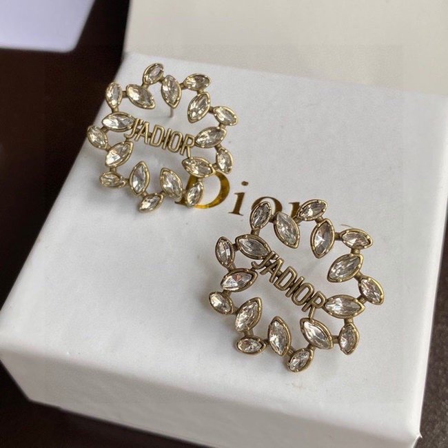 Dior Earring CSJ70001353