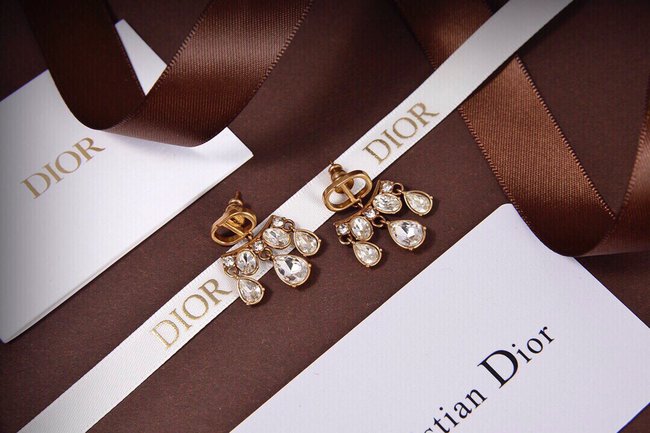 Dior Earring CSJ90002511