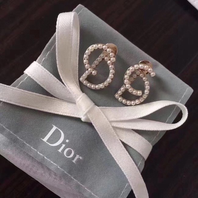 Dior Earring CSJ00001179