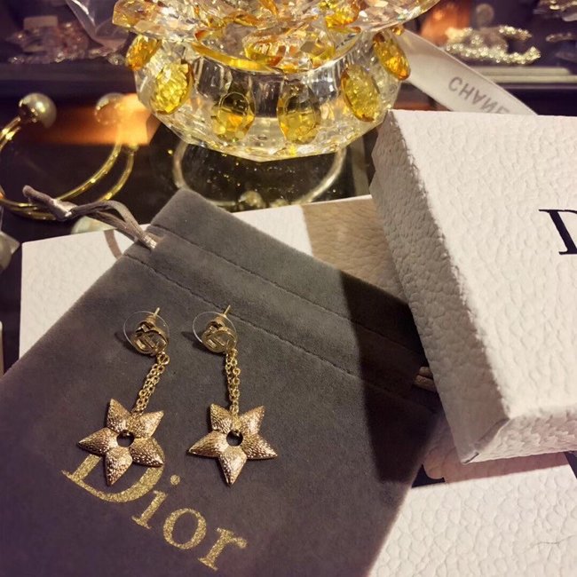 Dior Earring CSJ10001587