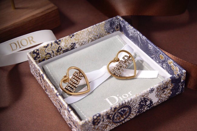 Dior Earring CSJ80001339