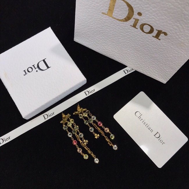 Dior Earring CSJ80001652