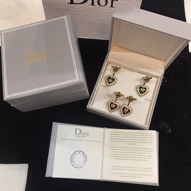 Dior Earring CSJ00001571