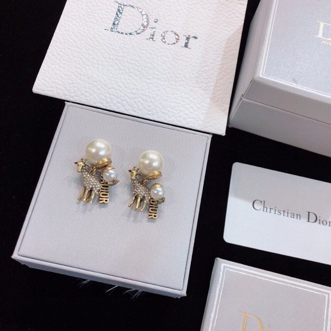 Dior Earring CSJ10001358