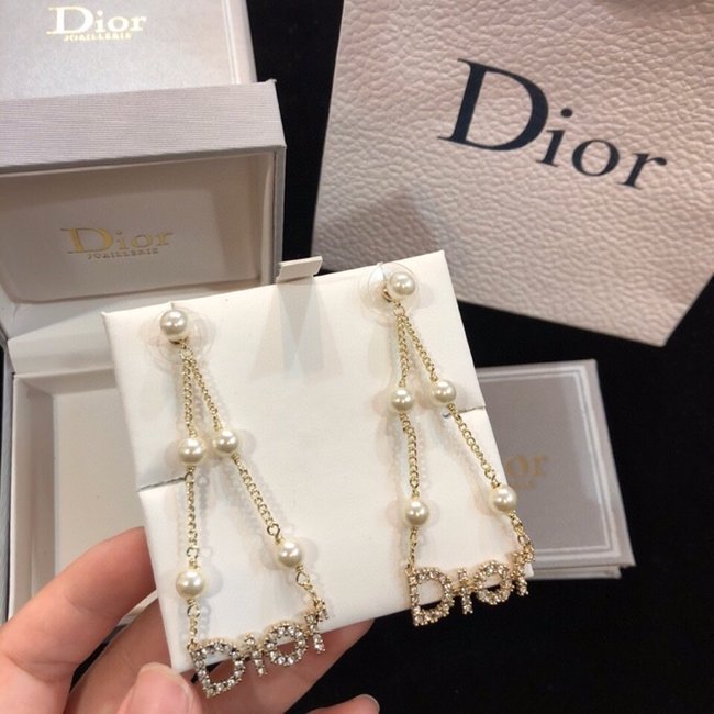 Dior Earring CSJ40001610