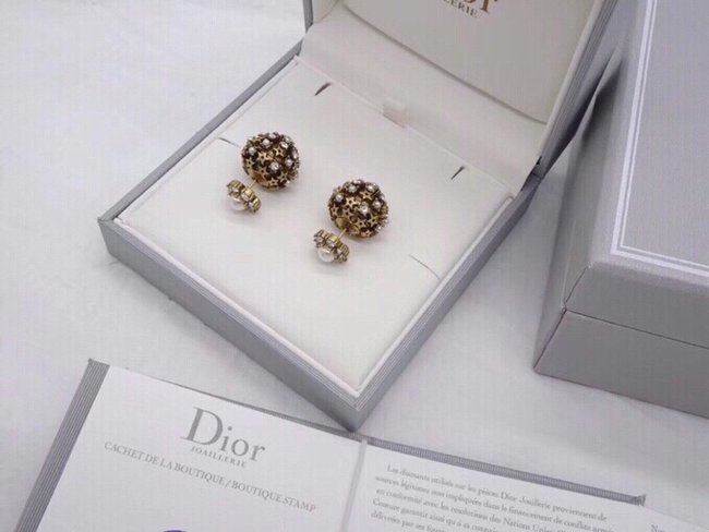 Dior Earring CSJ80002599