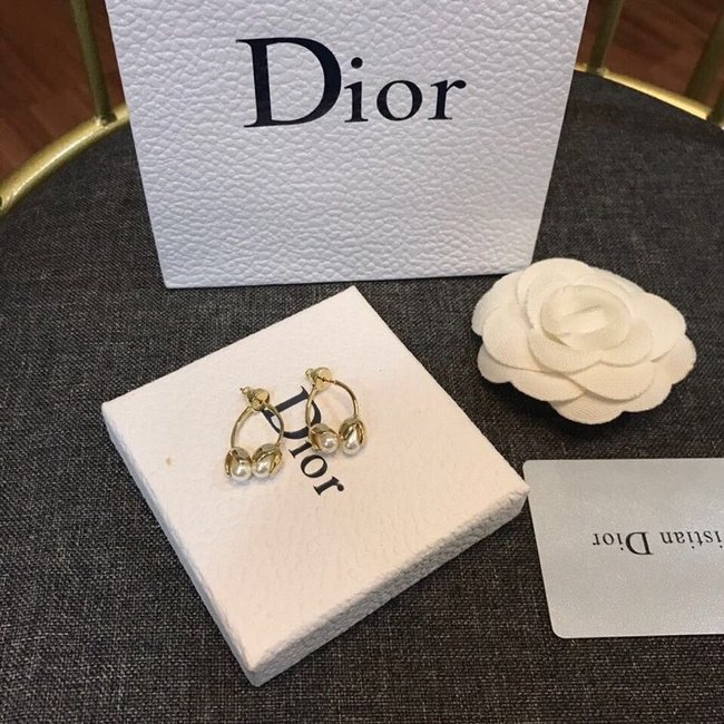 Dior Earring CSJ90001965