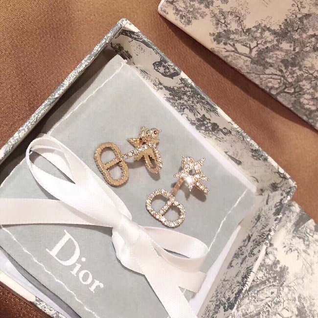 Dior Earring CSJ10001120