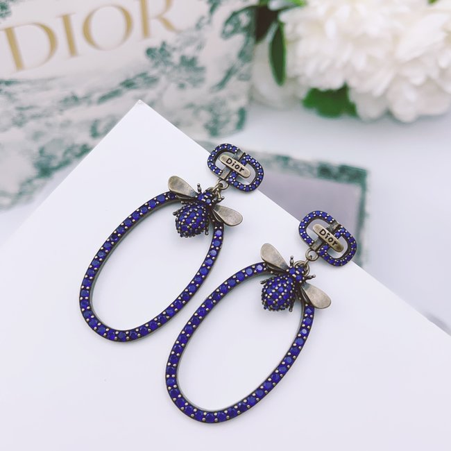 Dior Earring CSJ10001940