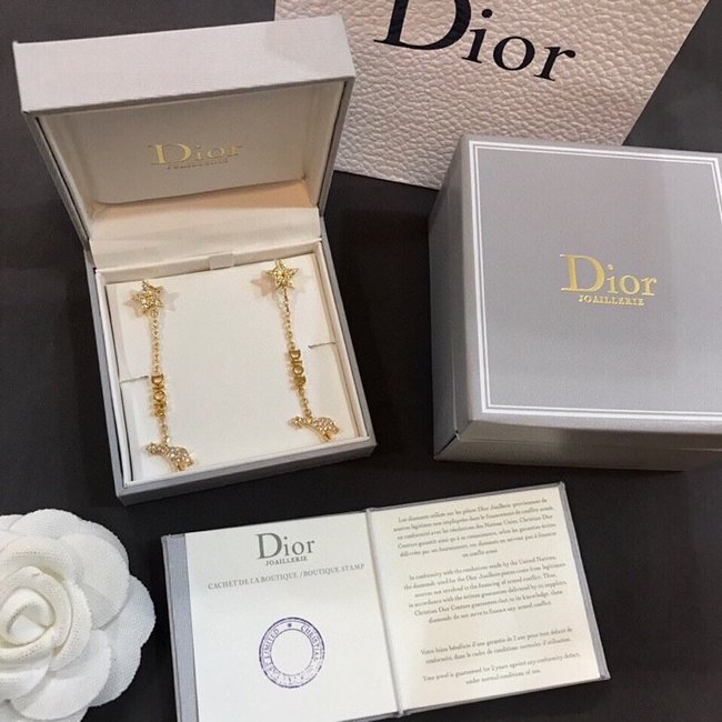 Dior Earring CSJ50002699