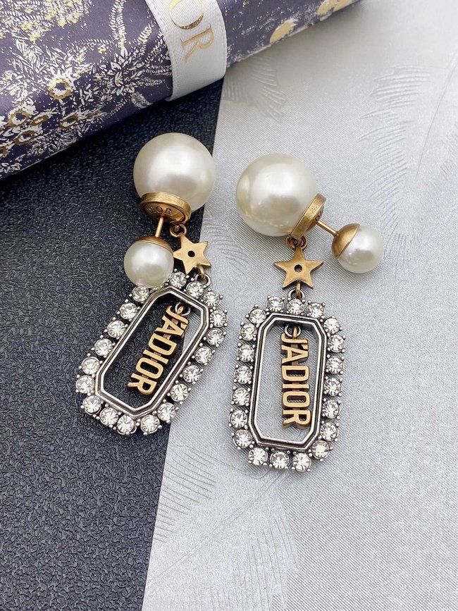 Dior Earring CSJ80001949