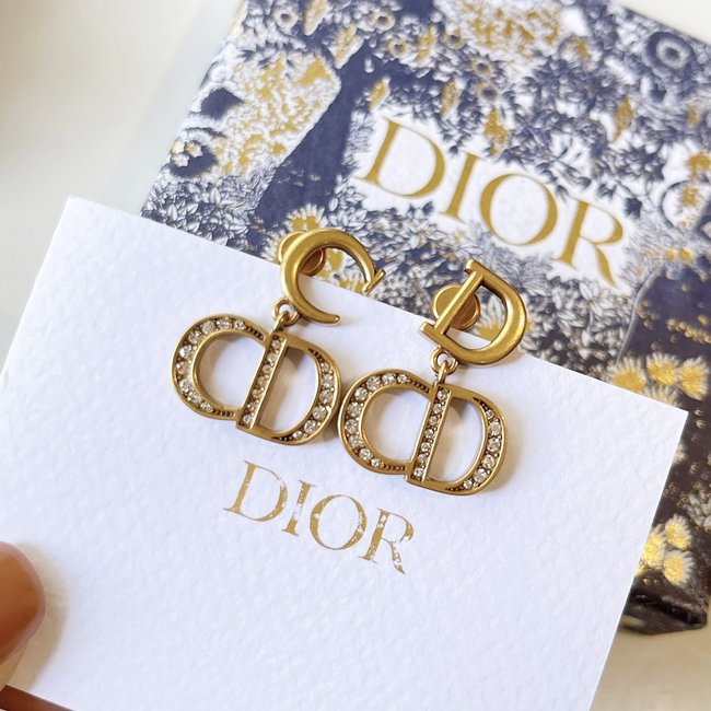 Dior Earring CSJ00001553