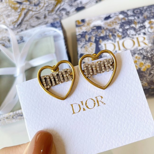 Dior Earring CSJ90001073