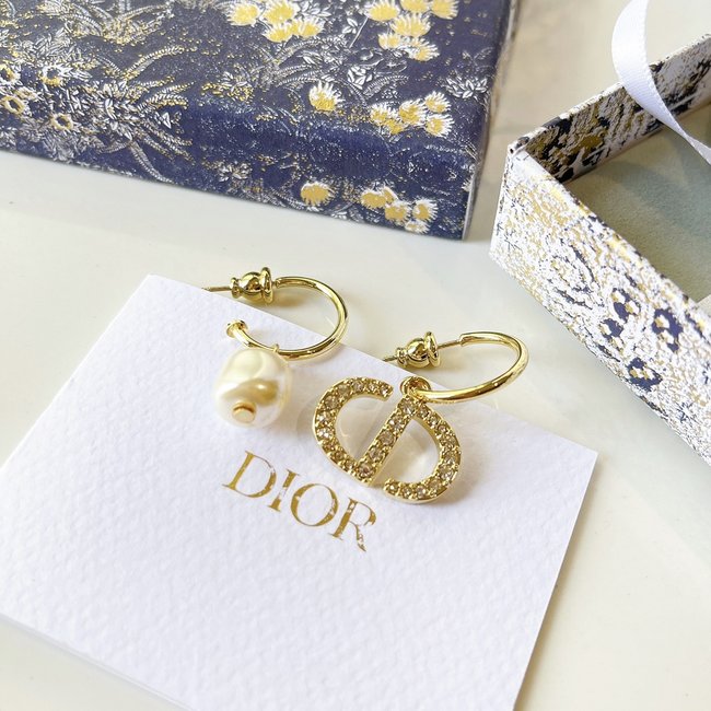 Dior Earring CSJ10001532