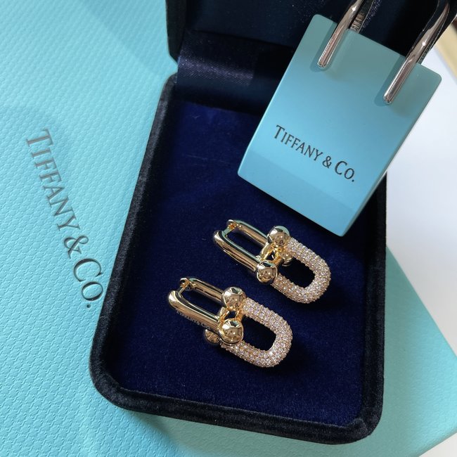 Tiffany & Co. Earring CSJ20001351