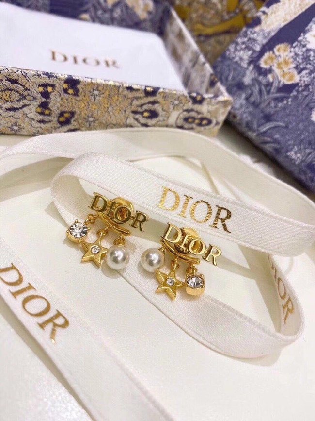 Dior Earring CSJ70001882