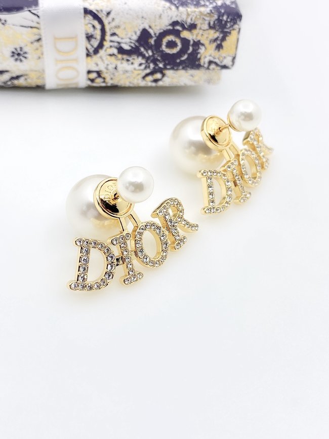 Dior Earring CSJ60001329
