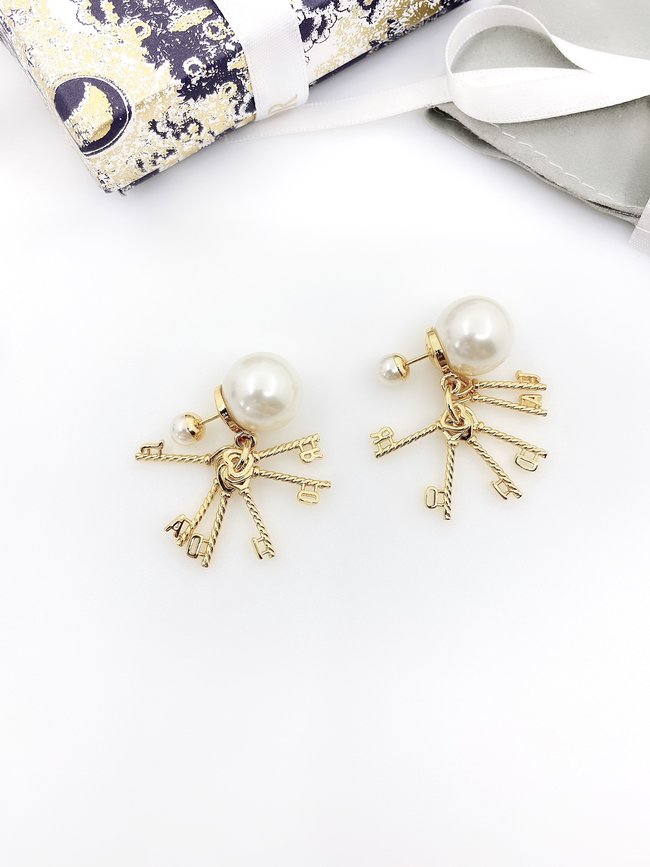 Dior Earring CSJ00001563