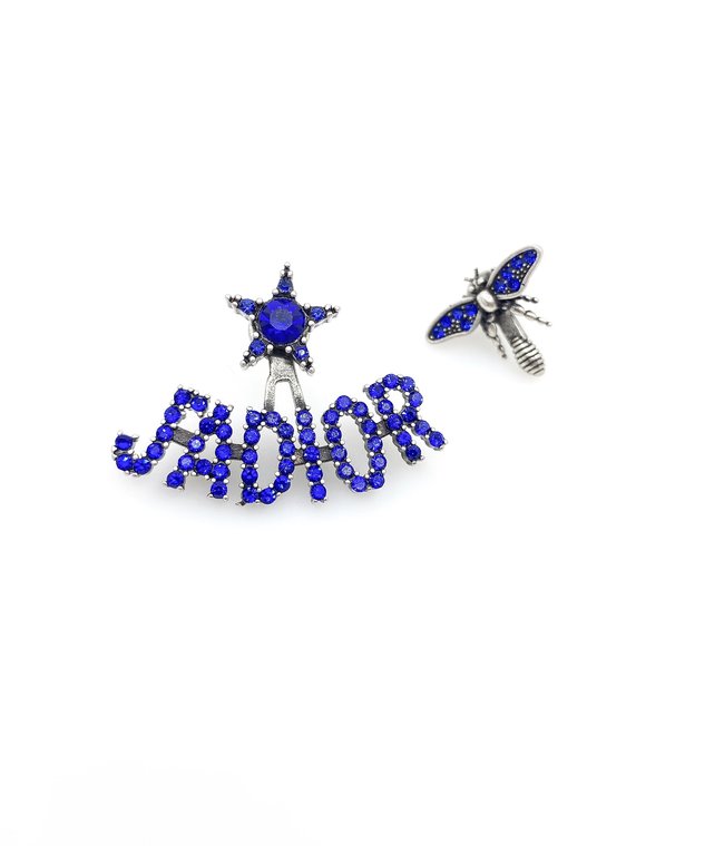 Dior Earring CSJ40001037