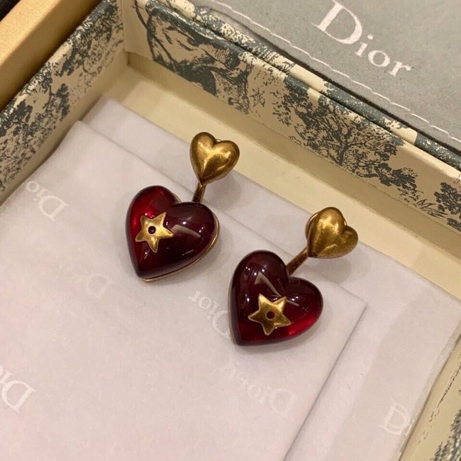 Dior Earring CSJ70001505