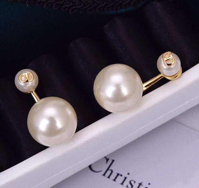 Dior Earring CSJ10001353