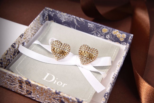 Dior Earring CSJ10001092