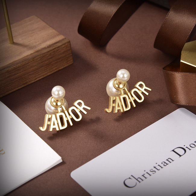 Dior Earring CSJ80001460