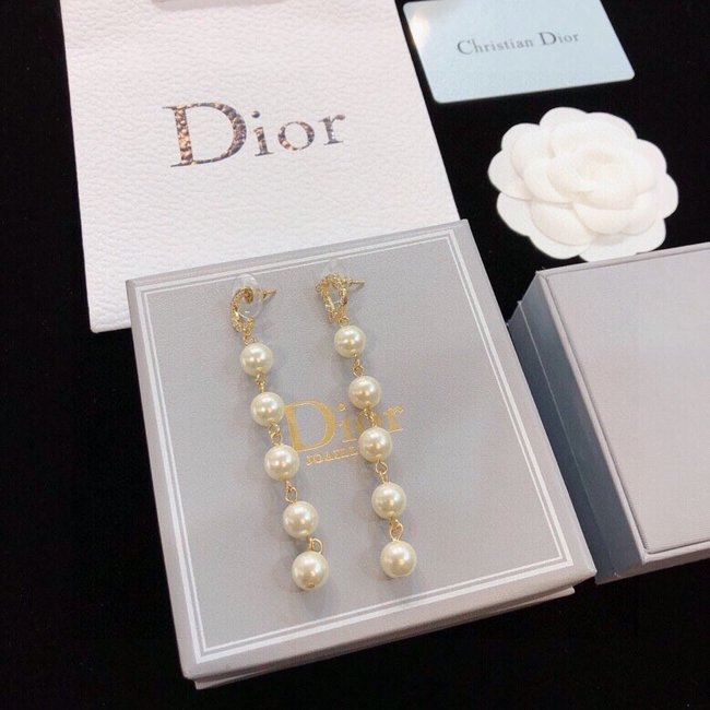 Dior Earring CSJ00001803