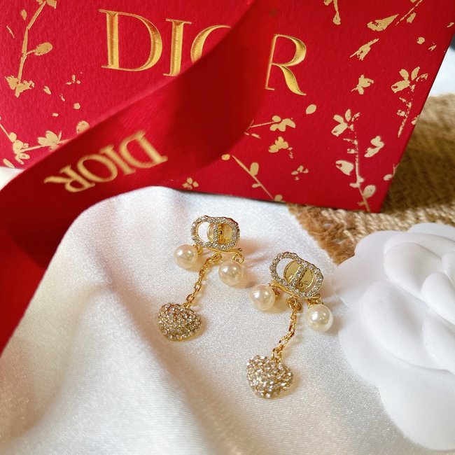 Dior Earring CSJ80001439