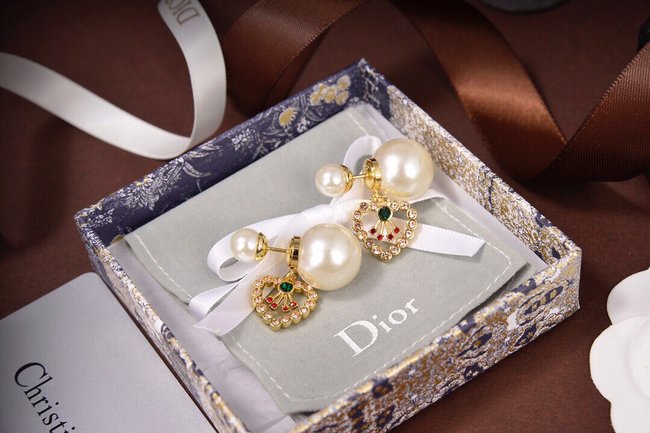 Dior Earring CSJ20002278