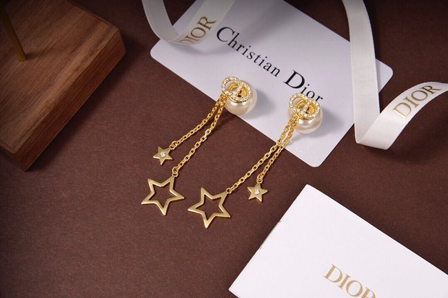 Dior Earring CSJ80002233