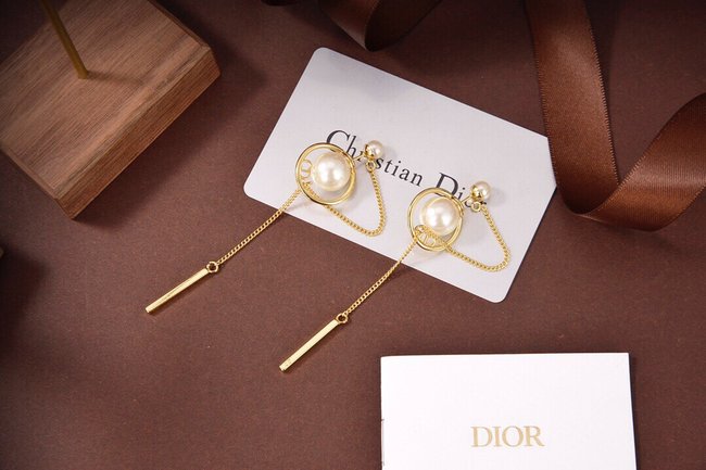 Dior Earring CSJ60002788