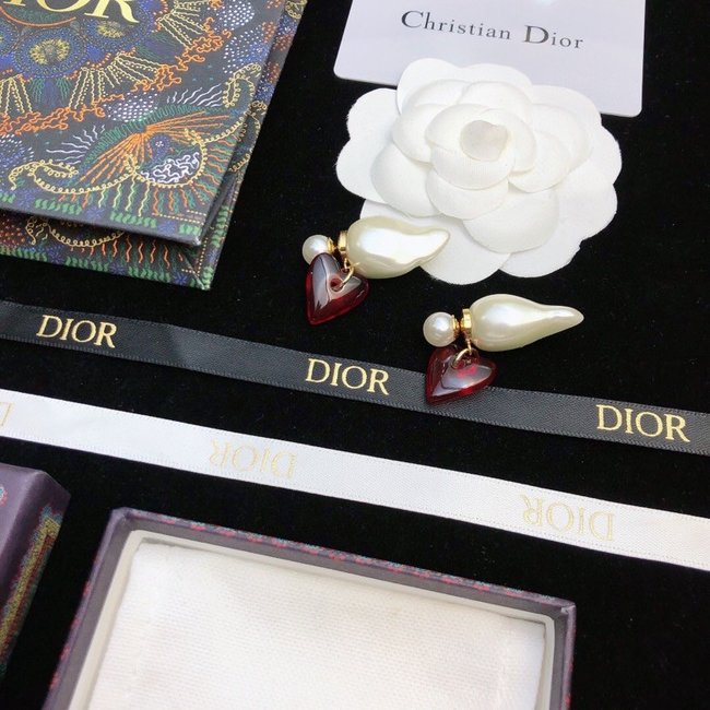 Dior Earring CSJ20002892