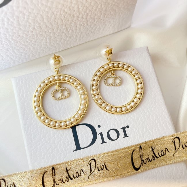 Dior Earring CSJ10001011