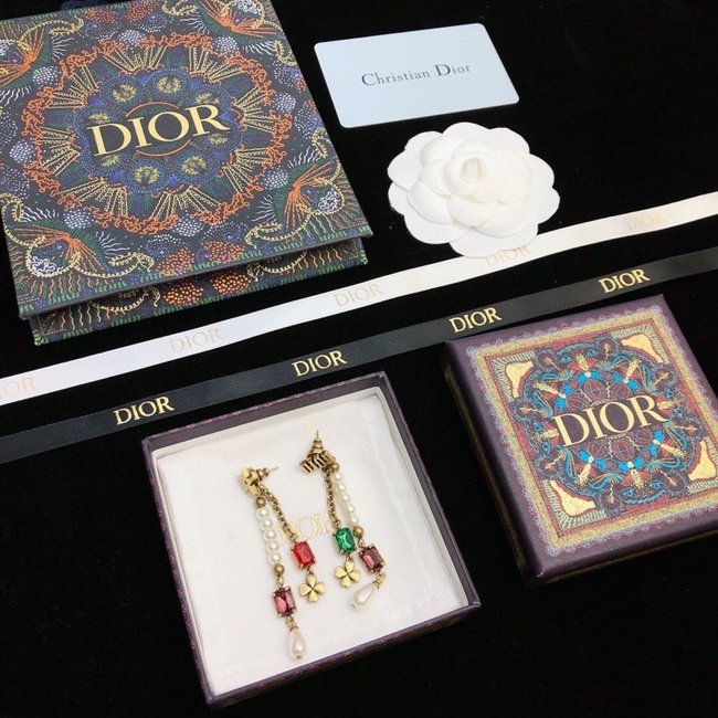 Dior Earring CSJ45311523